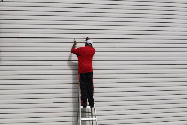 Best Custom Trim and Detailing for Siding  in St Paul, MN